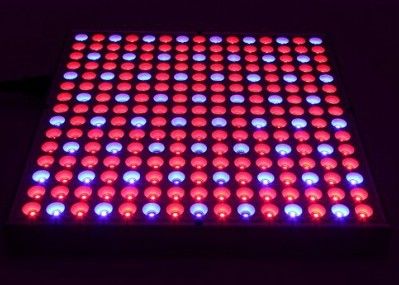 38W 0.5m2 / 0.3m Hydroponics Led Grow Lights 45W พืชในร่มแบบแบน