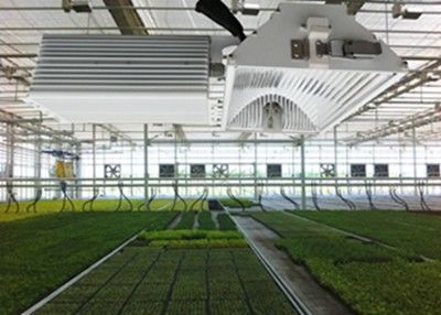 1050µMol / S HID LED เติบโตไฟ 630W พืชเซรามิกเมทัลฮาไลด์เติบโตแสง Grow