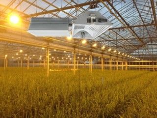 155lm / w 160000lm ไฟเติบโตในร่ม, 1000W HPS Grow Lights