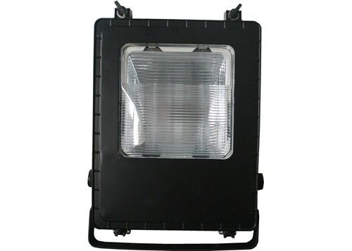 100w IP65 Stadium Grow Lights ป้ายโฆษณา Metal Halide