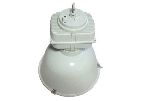 80lm / W HPS Industrial Led Grow Lights, โคมไฟซีนอน 250W Die Casting Aluminium