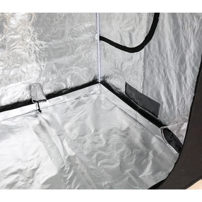 ความสูง 200 ซม. ซิป Hydroponic Indoor Grow Tent, 5X5 "แบบพกพา Grow Tent 600D Fabric