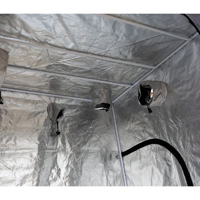 ความสูง 200 ซม. ซิป Hydroponic Indoor Grow Tent, 5X5 "แบบพกพา Grow Tent 600D Fabric