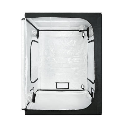 ไฮโดรโปนิกส์หลอดไส้เติบโตเต็นท์ 6.5X6.5 "ความสูง 200 ซม. การเจริญเติบโตของพืช