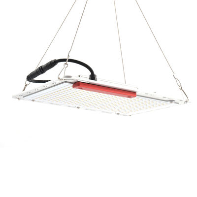 60Hz 100W นำผักเติบโตไฟ, คณะกรรมการควอนตัม SMD5730 Indoor Grow Light