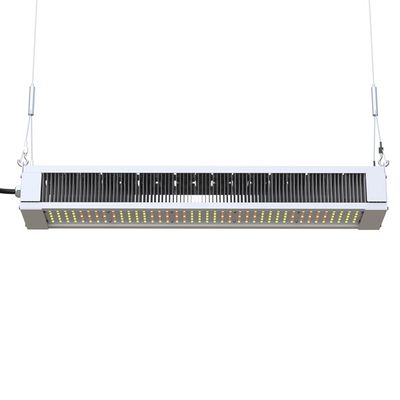 RikoLite 240W Full Spectrum LED Grow Light Slim Bar, AL1100 พืชสวน LED Grow Lights