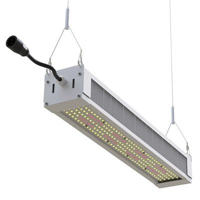 RikoLite 240W Full Spectrum LED Grow Light Slim Bar, AL1100 พืชสวน LED Grow Lights