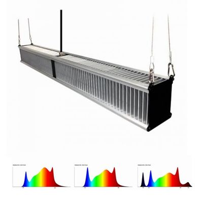 800w 2.7μMol / J เรือนกระจกพืชเติบโตไฟพืชสวนไฮบริด Led 1000w Slim Bar