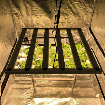 35 เซนติเกรดพืชสวน Led Grow Lights 480W 6 Pillar 2.6μMol / J Lights Bar