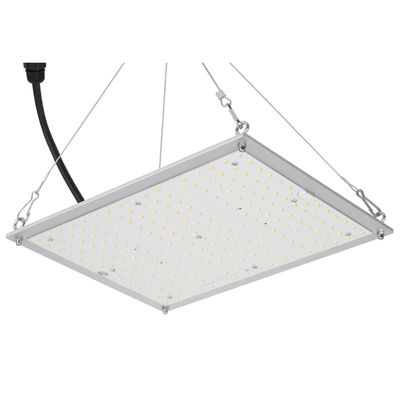 RikoLite 100W 277vac ไฮโดรโปนิกส์ Led Grow Lights Quantum Board 167.3umol / S