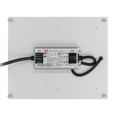 RikoLite 100W 277vac ไฮโดรโปนิกส์ Led Grow Lights Quantum Board 167.3umol / S