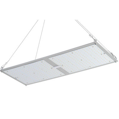 Rikolite 200w พืชสมุนไพรในร่ม Cultivation Quantum Board ระบบการปลูกพืชไร้ดิน