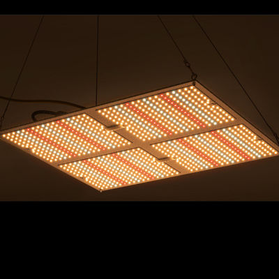 Rikolite 400w พลังงานสูง Led Grow Lights, 149.6m / W Hydroponic Plant Grow Light