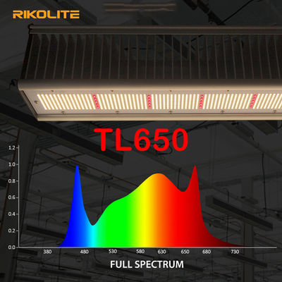 TL650 PAR 1755umol / S เรือนกระจก Led Grow Lights 630W สำหรับ Veg / Flower