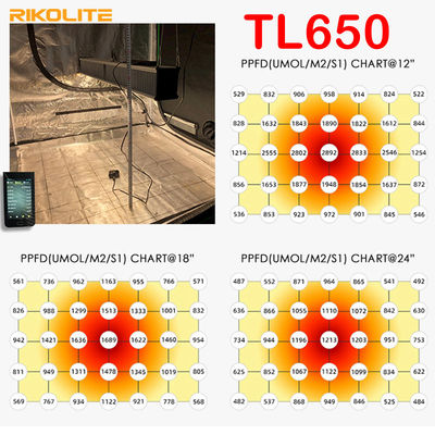 TL650 PAR 1755umol / S เรือนกระจก Led Grow Lights 630W สำหรับ Veg / Flower