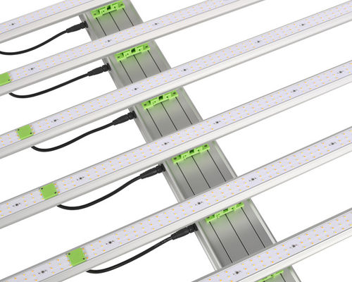 600W 1560μMol Plant LED Grow Lights 6 บาร์ EPAR 380nm-760nm