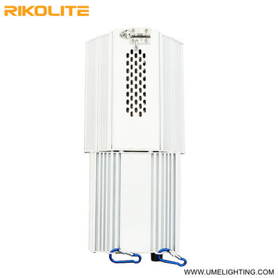 Agro 3100K Cmh Cdm ไฟเติบโตในร่ม 315w Metal Halide Grow Light