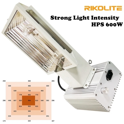 High Intensity Light Air Pro 600W HPS เติบโตแสงสำหรับเรือนกระจก