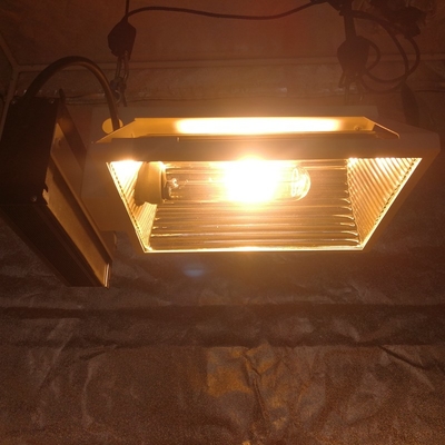 Air PAR Plus CMH 150W แนวนอน Grow Light Fixture สำหรับ 2X2 Grow Tent