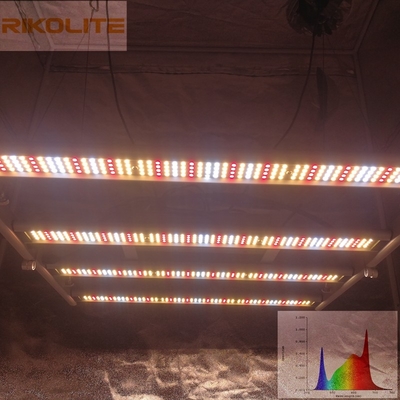 Galaxy 2835SMD LED 240W 4 บาร์พืชพับได้เติบโตไฟ 0 - 10V หรี่แสงได้