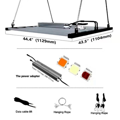 2000umol / S 1000 วัตต์ Led Grow Light Bar Led Grow Light Strips สำหรับการทำฟาร์มแนวตั้ง