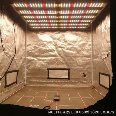 RikoLite 650W 1820umol/S 6 บาร์เรือนกระจก LED Grow Lights