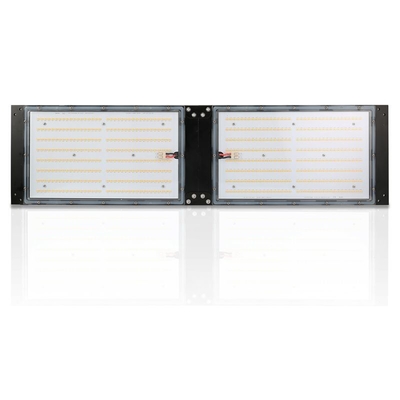 Waterproof IP65 LED Herb Grow Light 240W SAMSUNG Quantum Board สำหรับการเกษตร