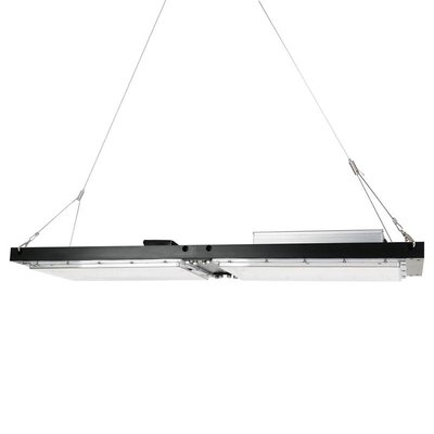 Waterproof IP65 LED Herb Grow Light 240W SAMSUNG Quantum Board สำหรับการเกษตร