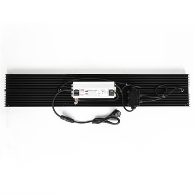 ไฮโดรโปนิกส์ควอนตัม LED เติบโตไฟ IP65 320w เต็มสเปกตรัมสำหรับผัก
