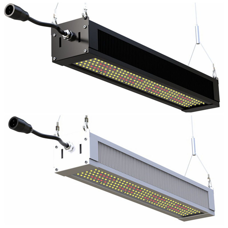 RikoLite 240W Full Spectrum LED Grow Light Slim Bar, AL1100 พืชสวน LED Grow Lights
