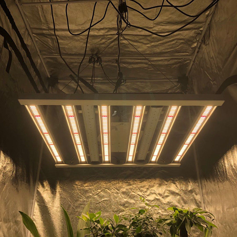 35 เซนติเกรดพืชสวน Led Grow Lights 480W 6 Pillar 2.6μMol / J Lights Bar